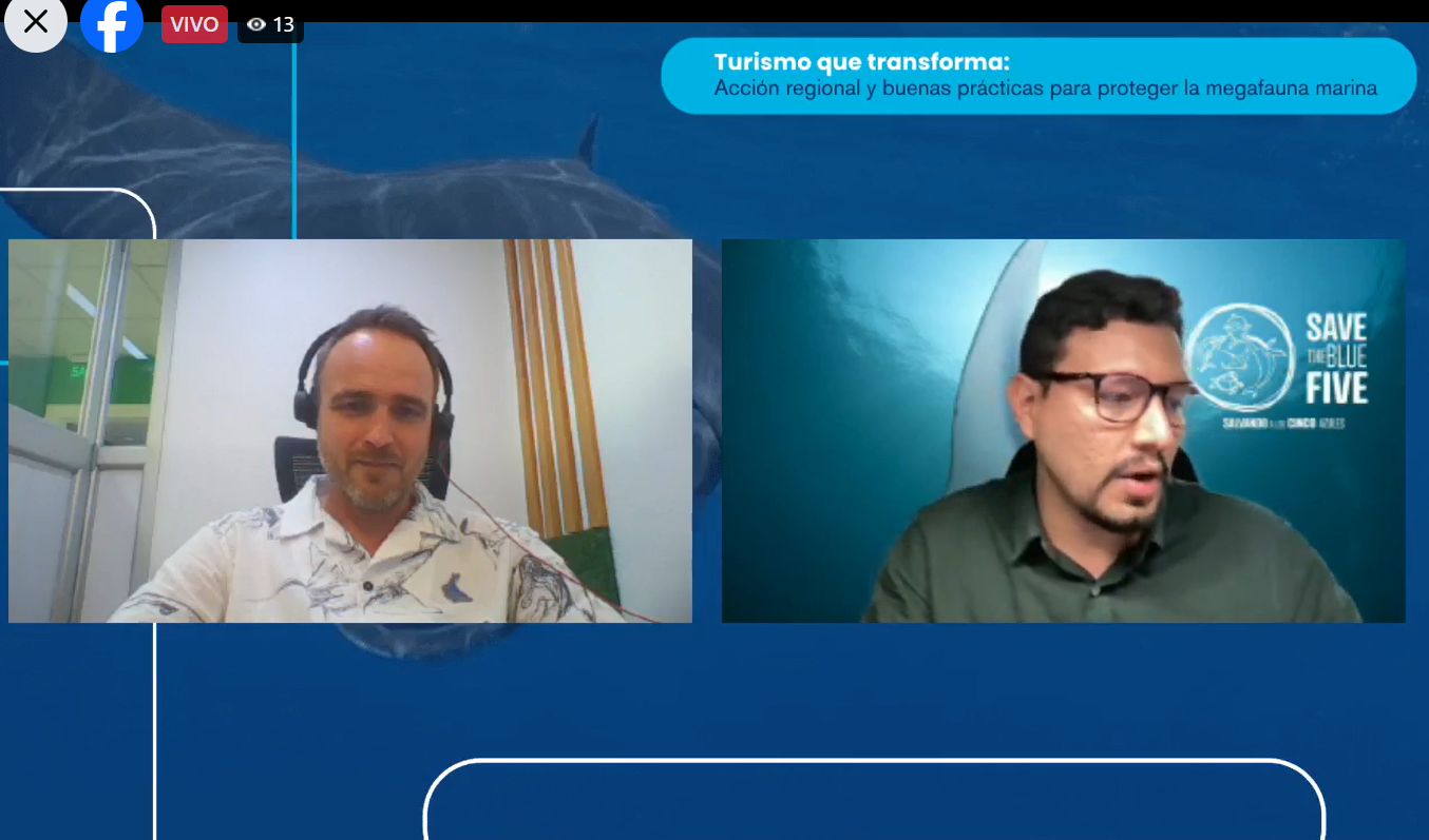 Para Save the Blue Five, estas dinámicas de comunicación entre especialistas son cruciales para mejorar la conservación de la megafauna marina en la región.