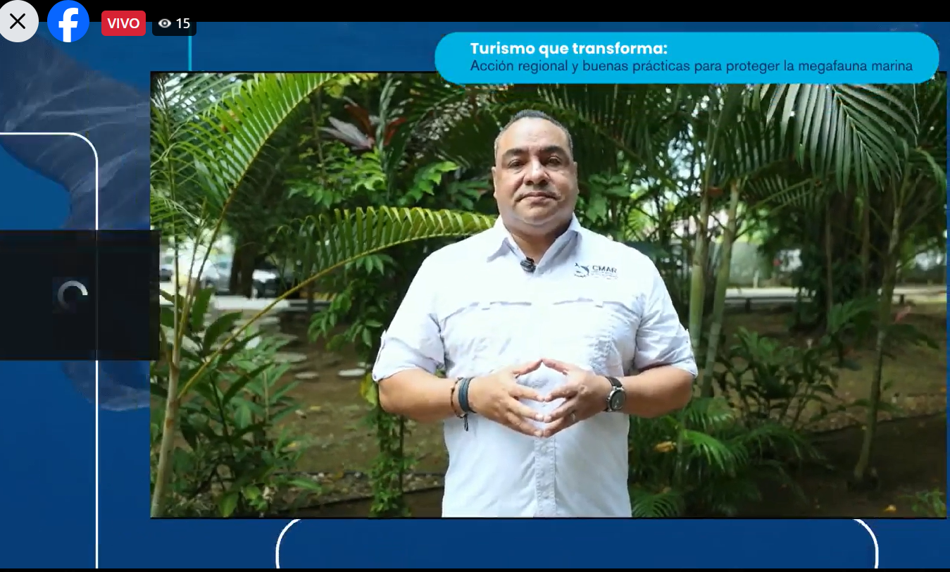 Un corredor consciente del valor del turismo marino y de la gran oportunidad de que este contribuya a la conservación de especies clave como tiburones, ballenas y tortugas.